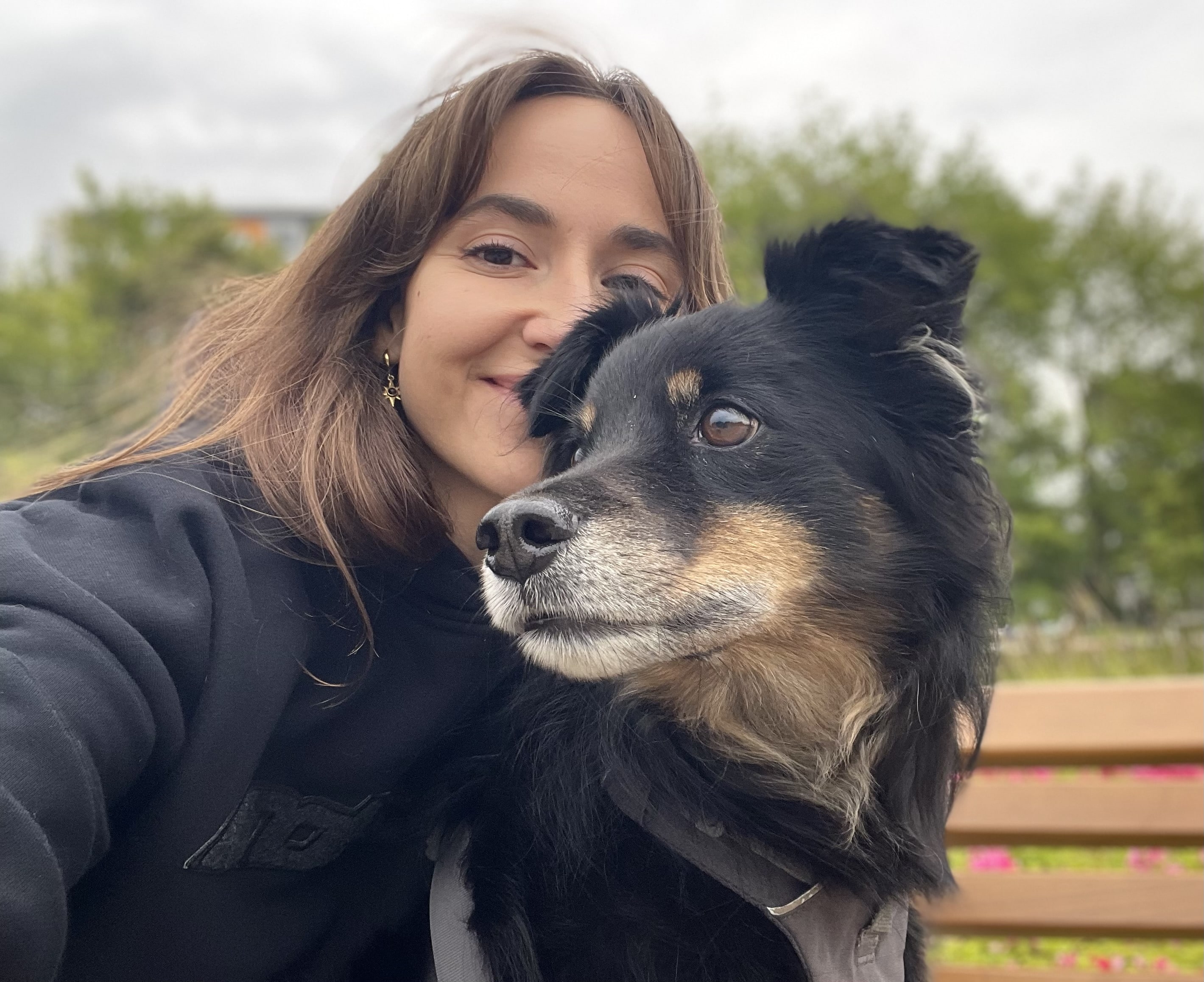 Akademia Pana Pieska