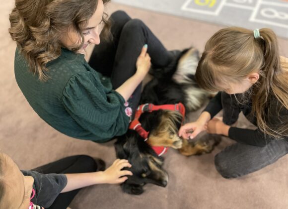 Akademia Pana Pieska